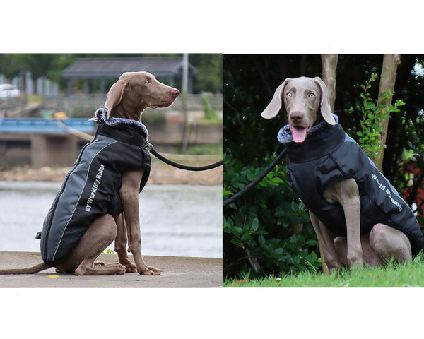 Large Dog Warm Winter Waterproof Vest, Weatherproof Warm Coat for Big Dogs
