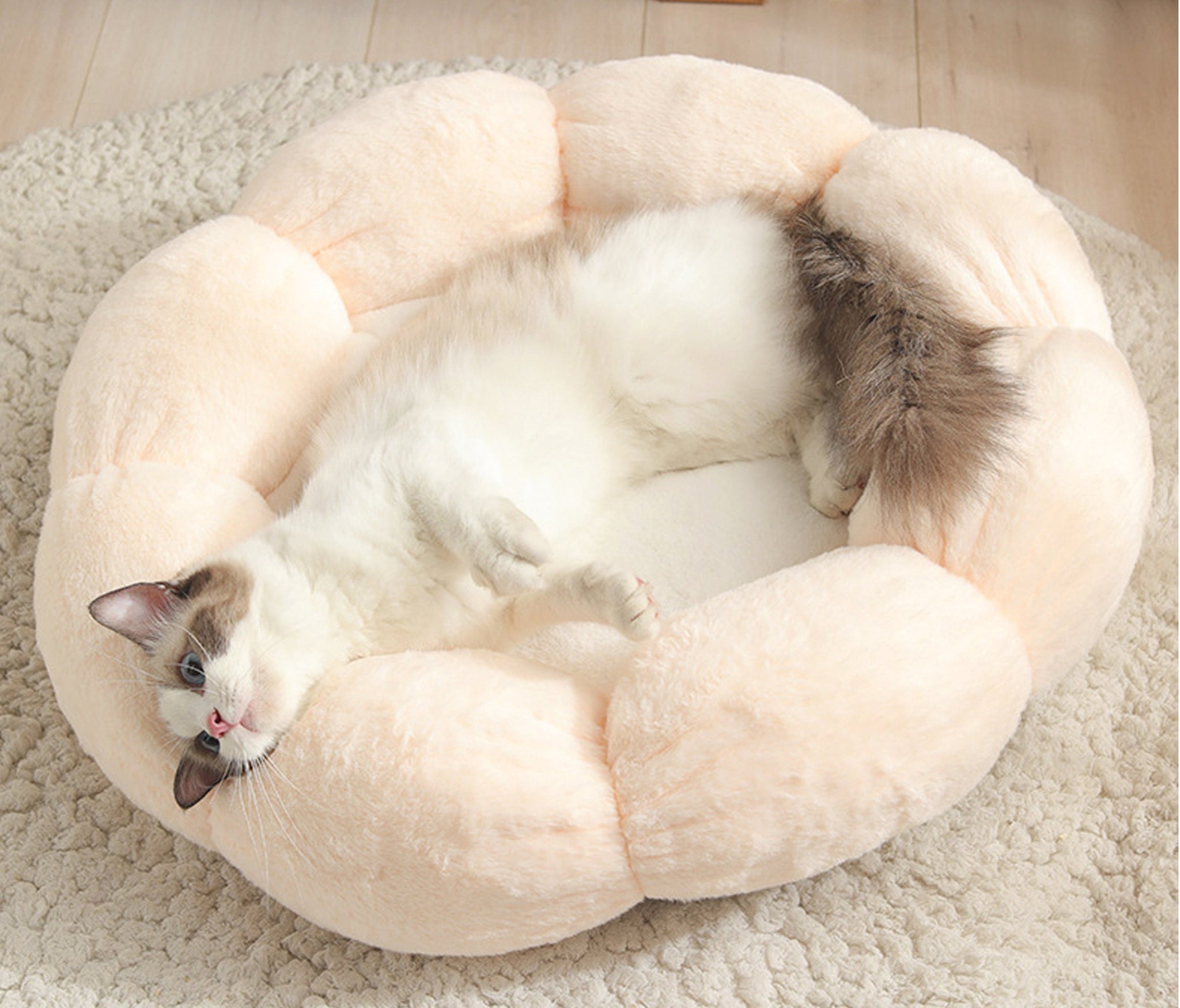Round Flower Cat and Dog Bed, Plush Flower Padded Pet Cave