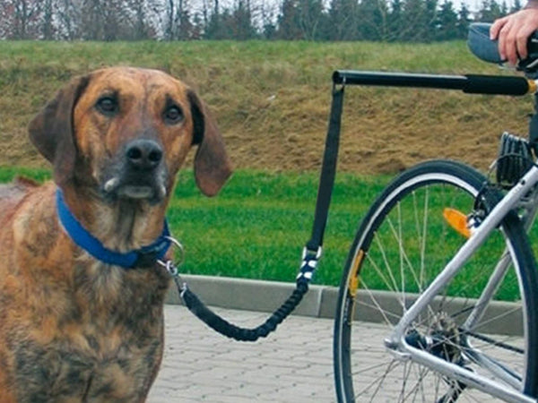 Cycling Dog Leash, Bike Riding Dog Leash, Hands Free Cycling Dog Walking Leash
