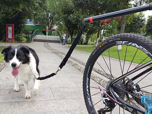 Cycling Dog Leash, Bike Riding Dog Leash, Hands Free Cycling Dog Walking Leash
