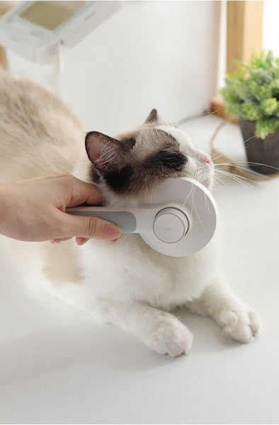 Self Cleaning Pet Grooming Brush