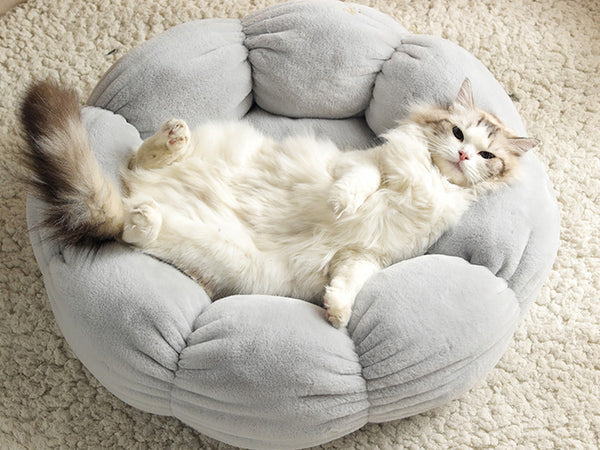 Round Flower Cat and Dog Bed, Plush Flower Padded Pet Cave