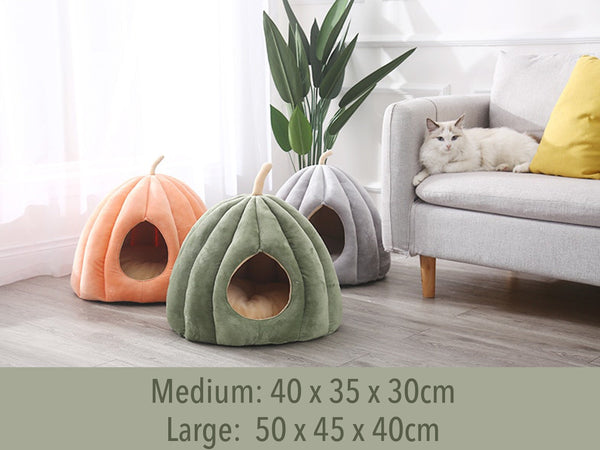 Pumpkin Pet Palace